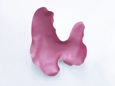 Détour rose - PVC thermoformé et peinture, 55x55x15cm, 2012