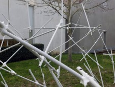 Tubiflore (détail)